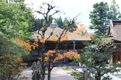 高野山の紅葉2