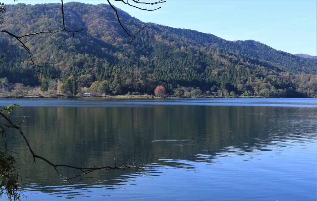 余呉湖の風景