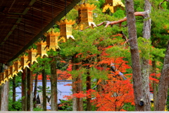 高野山の紅葉