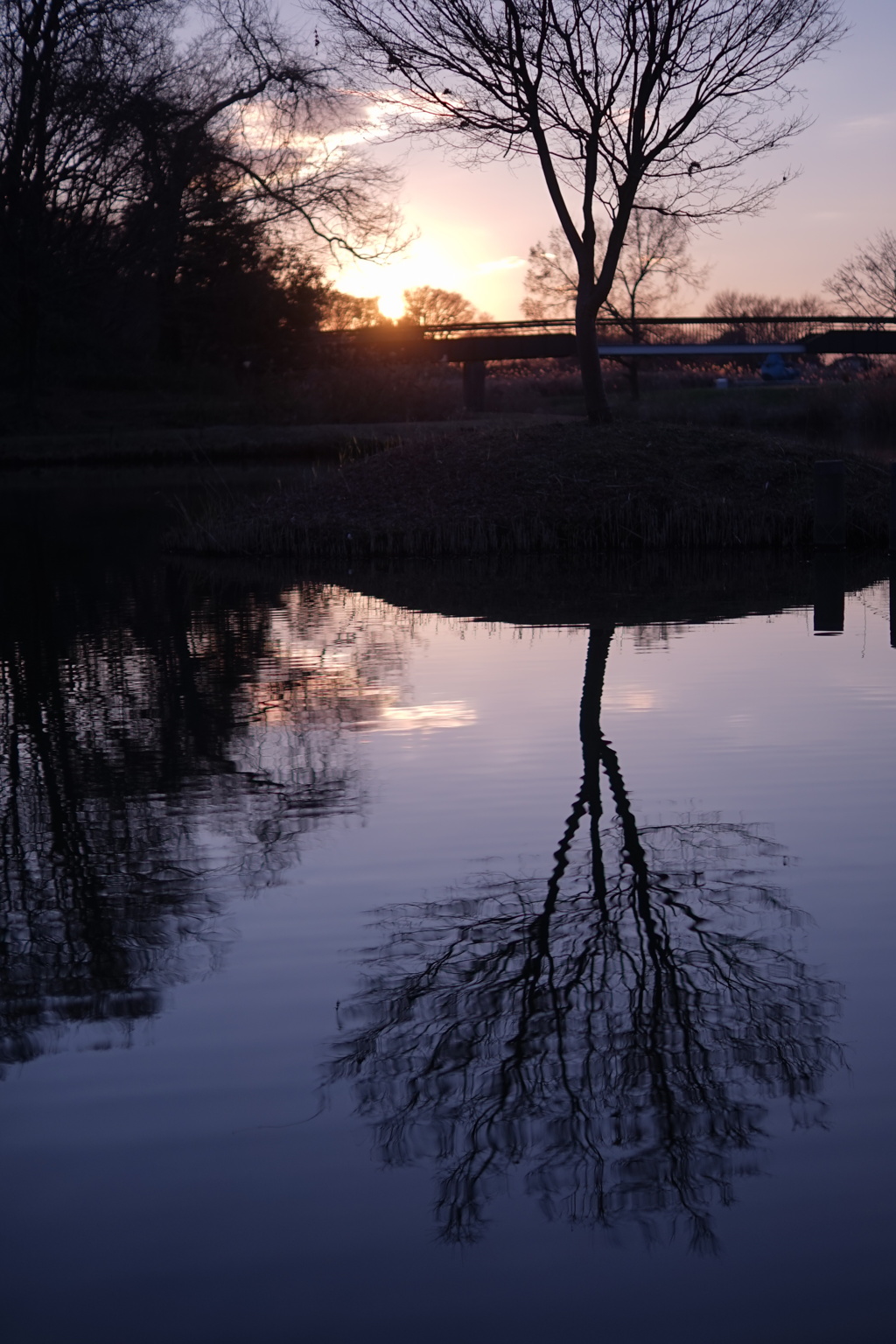 公園