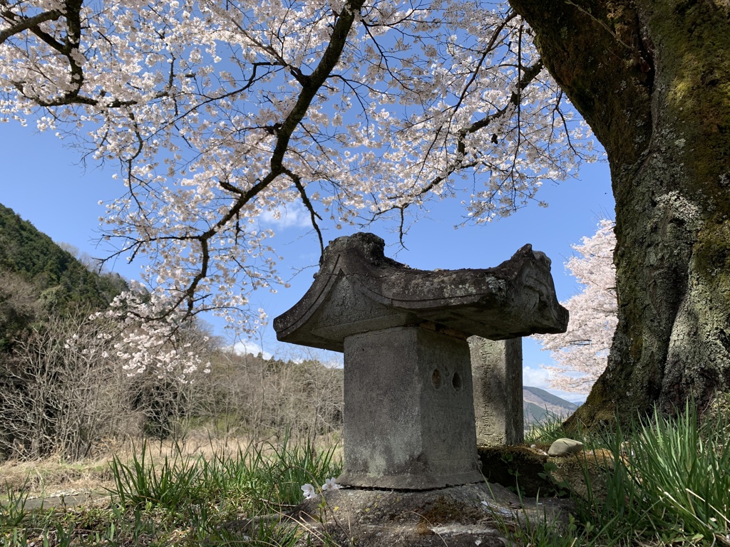 佐野市の山奥①