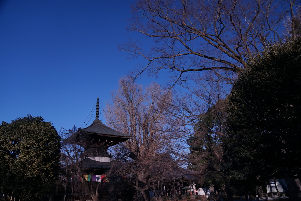 鑁阿寺