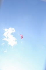 海辺の凧上げ