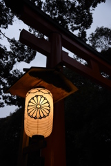 鳥居と提灯