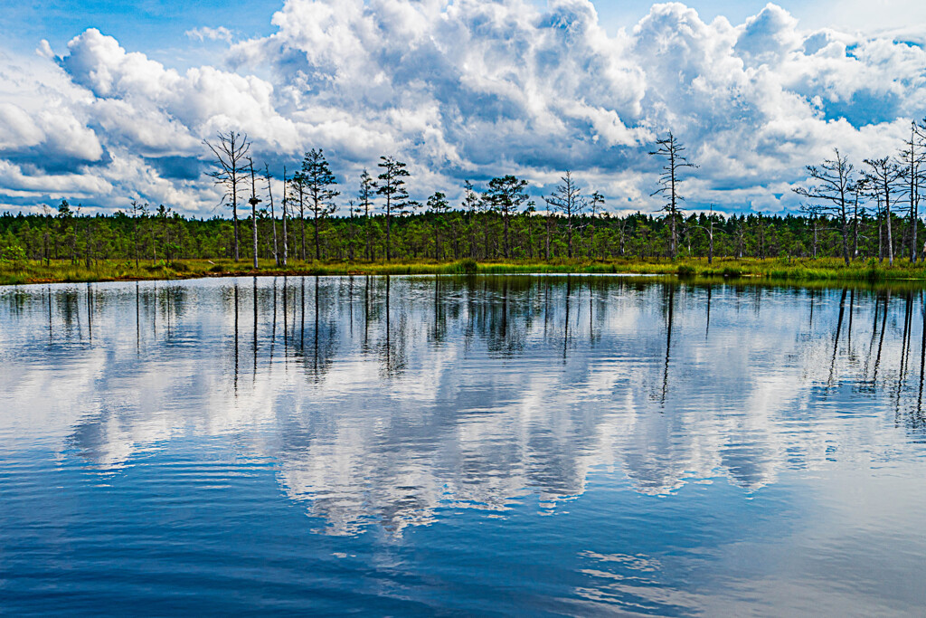 雲と波紋 By ばるけった Id 写真共有サイト Photohito