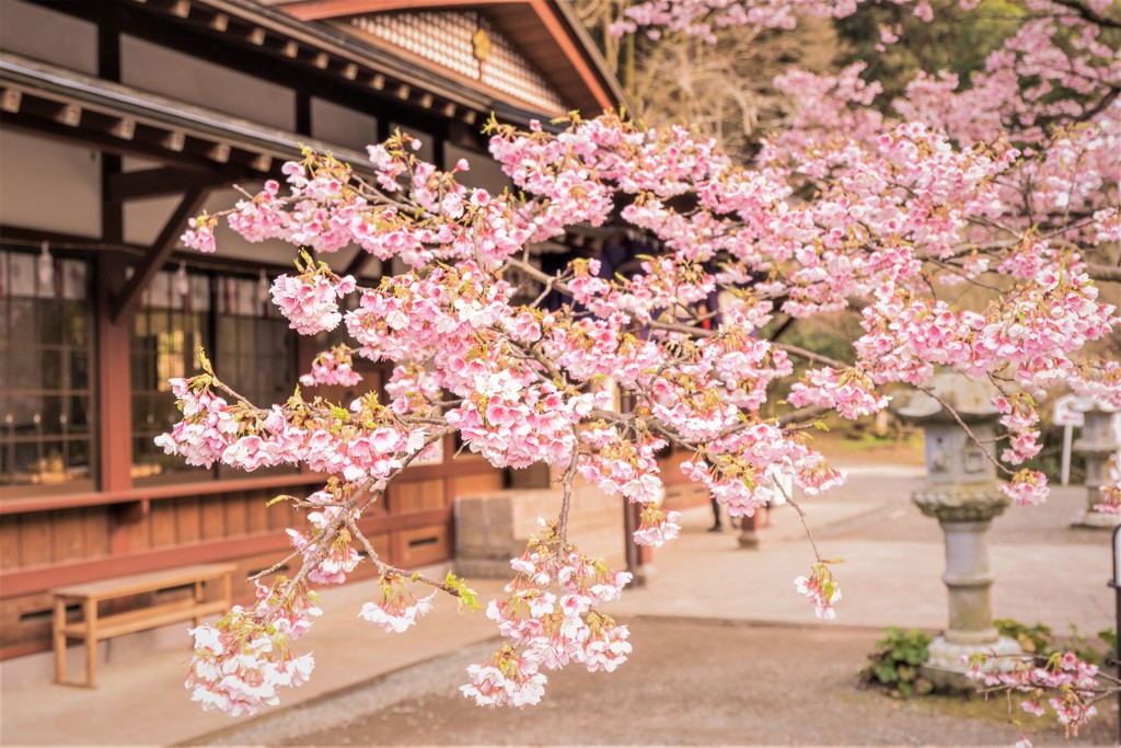 藤川天神