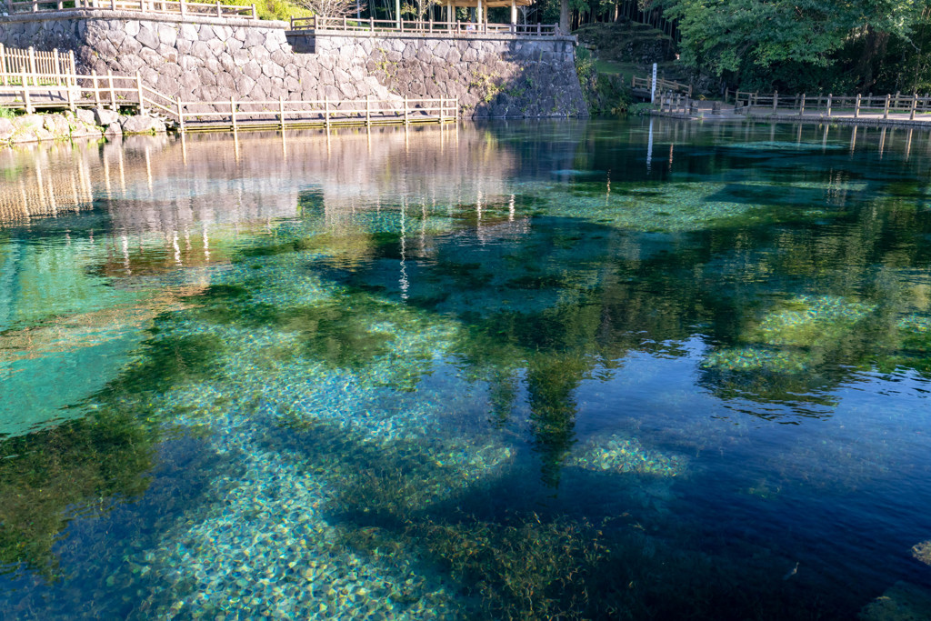 湧き水の透明感