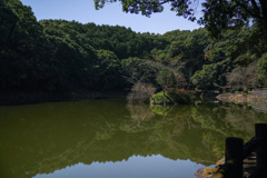 月明かりの池