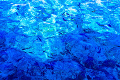 名水の水面