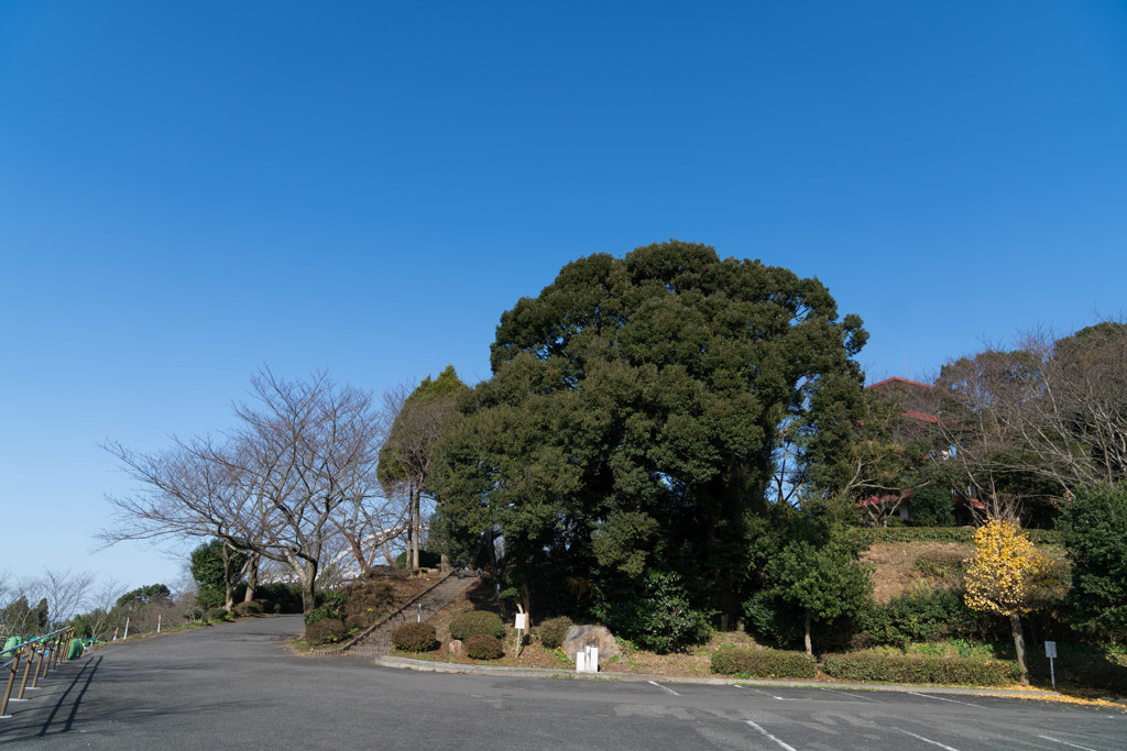 空の蒼
