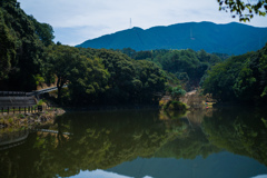 月明かり１
