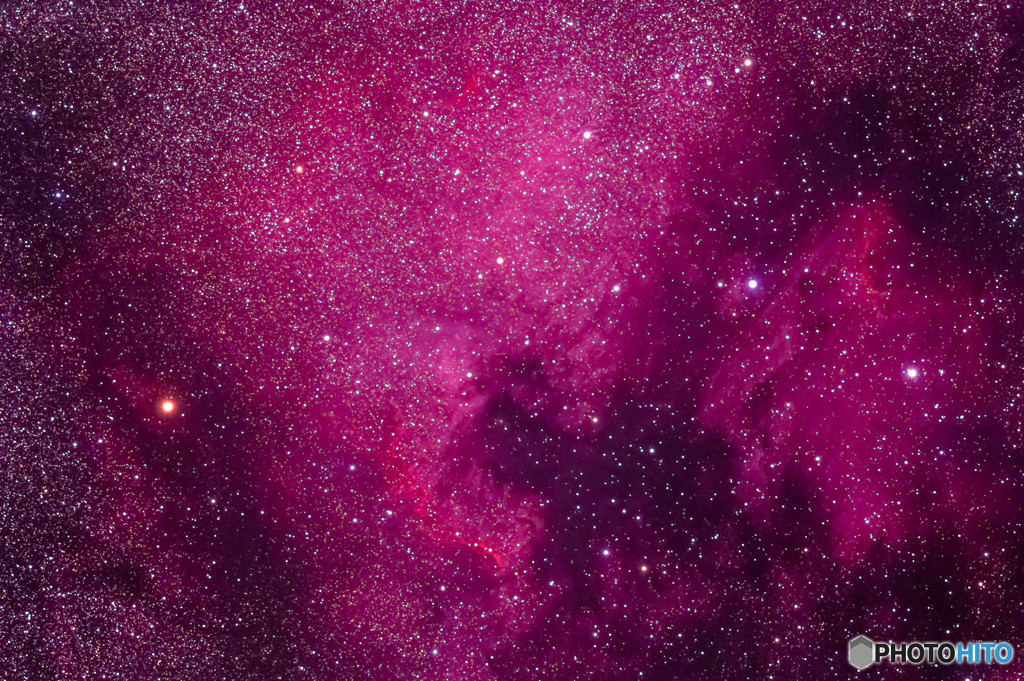 はくちょう座　北アメリカ星雲とペリカン星雲