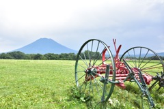 北海道旅行④