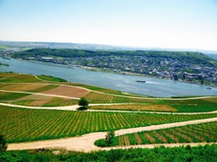 Rüdesheim