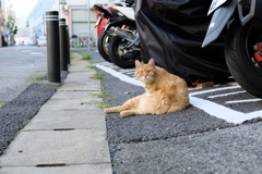DSCF4699
