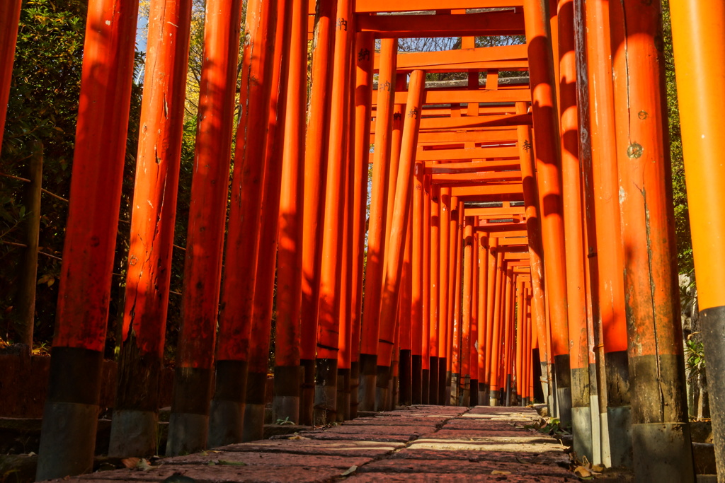 根津神社 鳥居