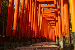 根津神社 鳥居