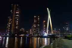 中央大橋2