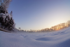 雪が積もった朝