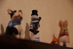 試し撮り