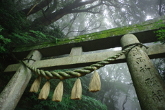 霧の鳥居