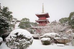 雪の豊前国分寺三重塔