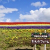 北海道 かんのファーム