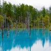北海道 青い池 ♯2