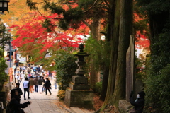 人々が行き交う中見える物。