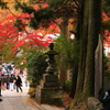 人々が行き交う中見える物。