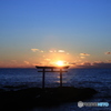 鳥居と夜明け