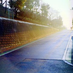 雨上がりの冬の朝