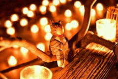 尾道灯りまつり