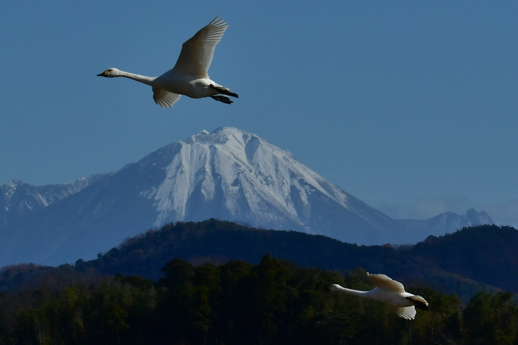 行ってきました７