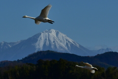 行ってきました７