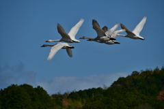 行ってきました５