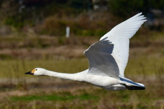 行ってきました８