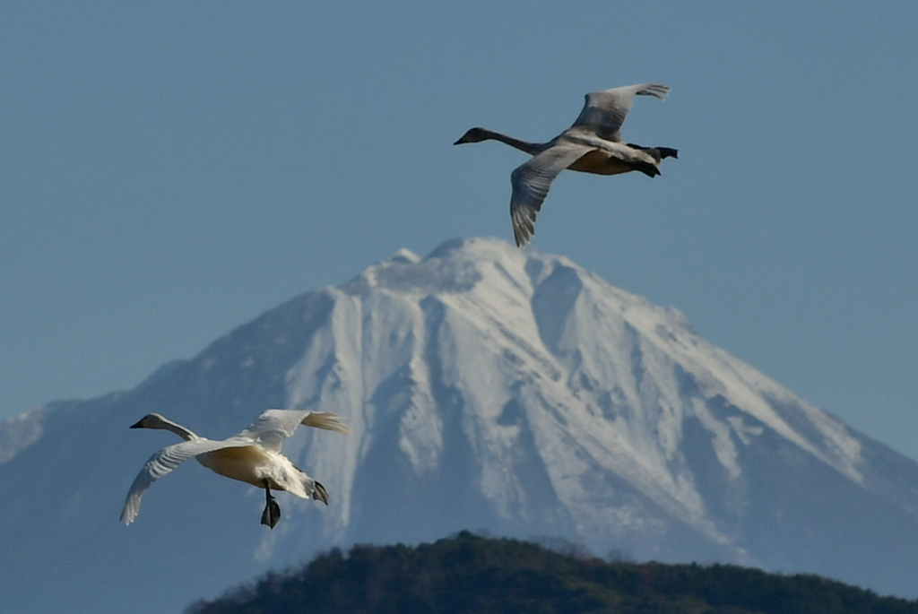 行ってきました１