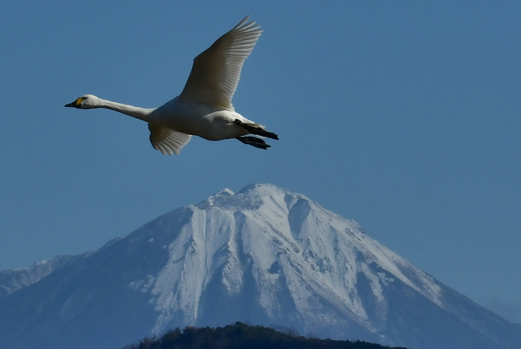 行ってきました６