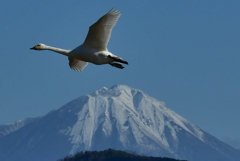 行ってきました６