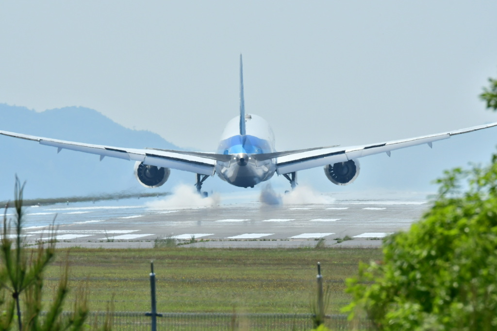 ANA