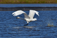 行ってきました９