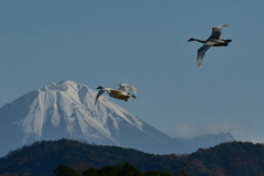 行ってきました２