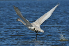 行ってきました４