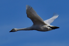 行ってきました１１