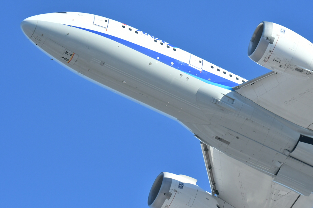 久しぶりの広島空港8