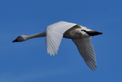 行ってきました１２