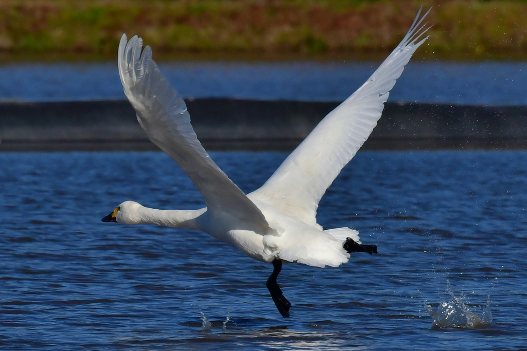 行ってきました１０