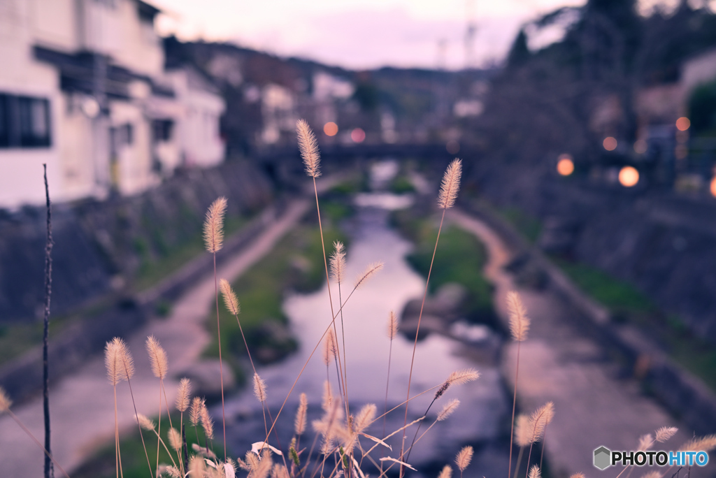 玉造温泉スナップ