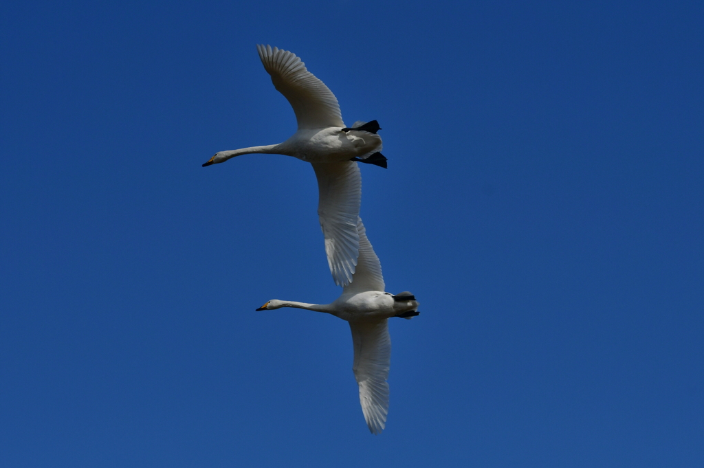行ってきました３